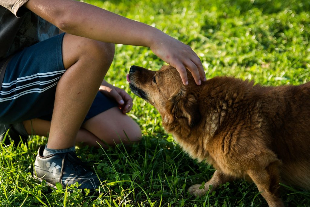 Lucky Leash Salem | Dog Trainer Salem, Oregon